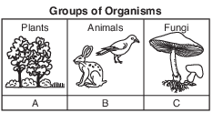 ecology, energy flow and food web, organization and patterns in Life, cell energetics, cellular respiration and APT, ecology, materials cycle through ecosystems, organization and patterns in Life, cell energetics, cellular respiration and APT fig: lenv82013-exam_g24.png